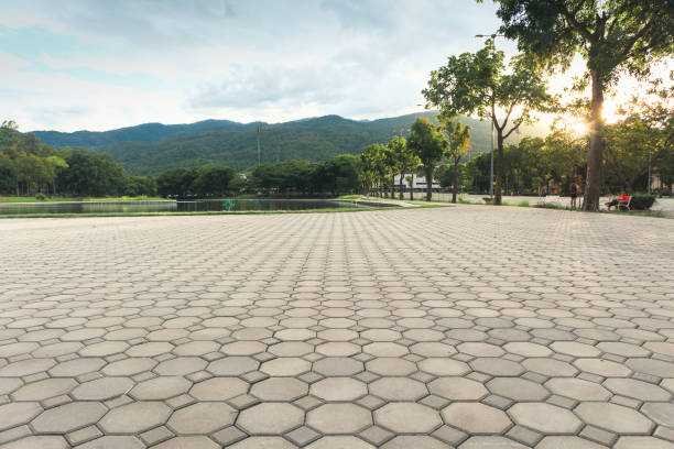 Best Commercial Driveway Pavers  in Whitehouse, TX